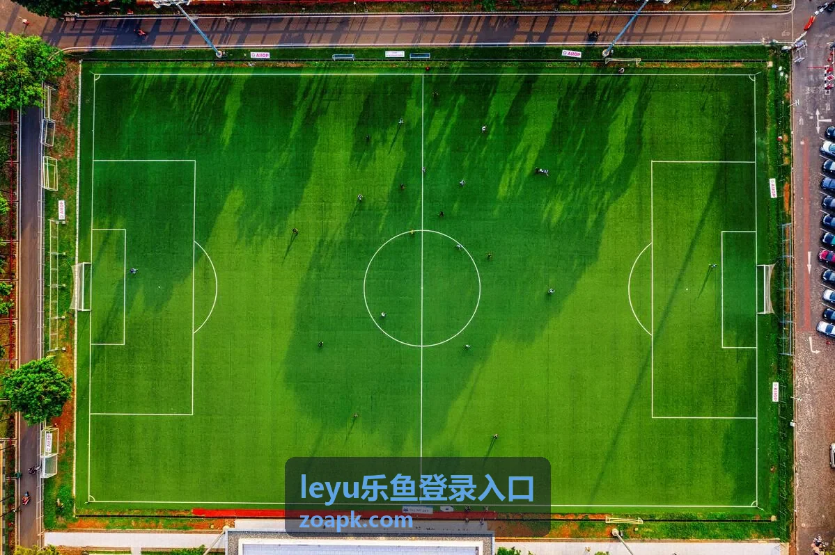 leyu乐鱼登录入口 爆款游戏 梦幻花园